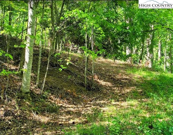 $135,000 | Lucky Leaf Lane, Vilas, NC 28692