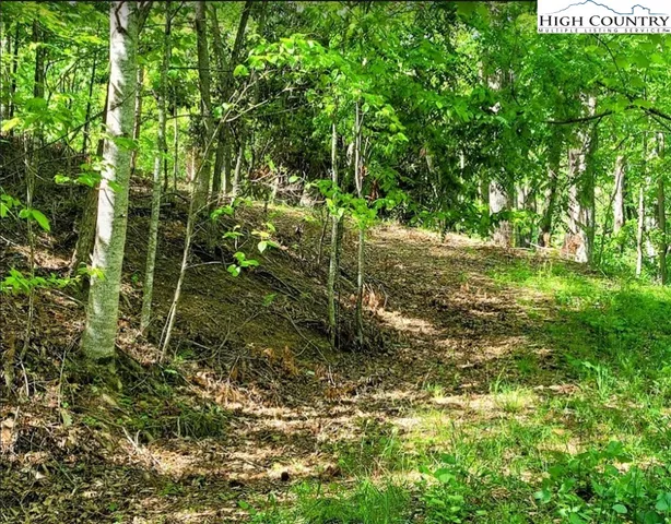 $135,000 | Lucky Leaf Lane, Vilas, NC 28692