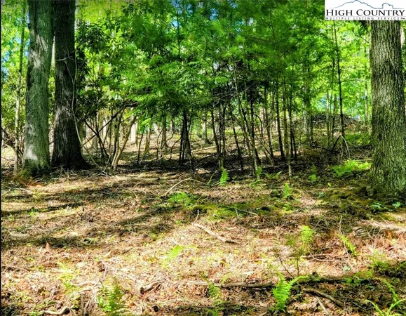 $135,000 | Lucky Leaf Lane, Vilas, NC 28692