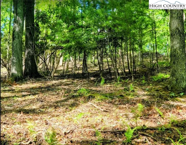 $135,000 | Lucky Leaf Lane, Vilas, NC 28692