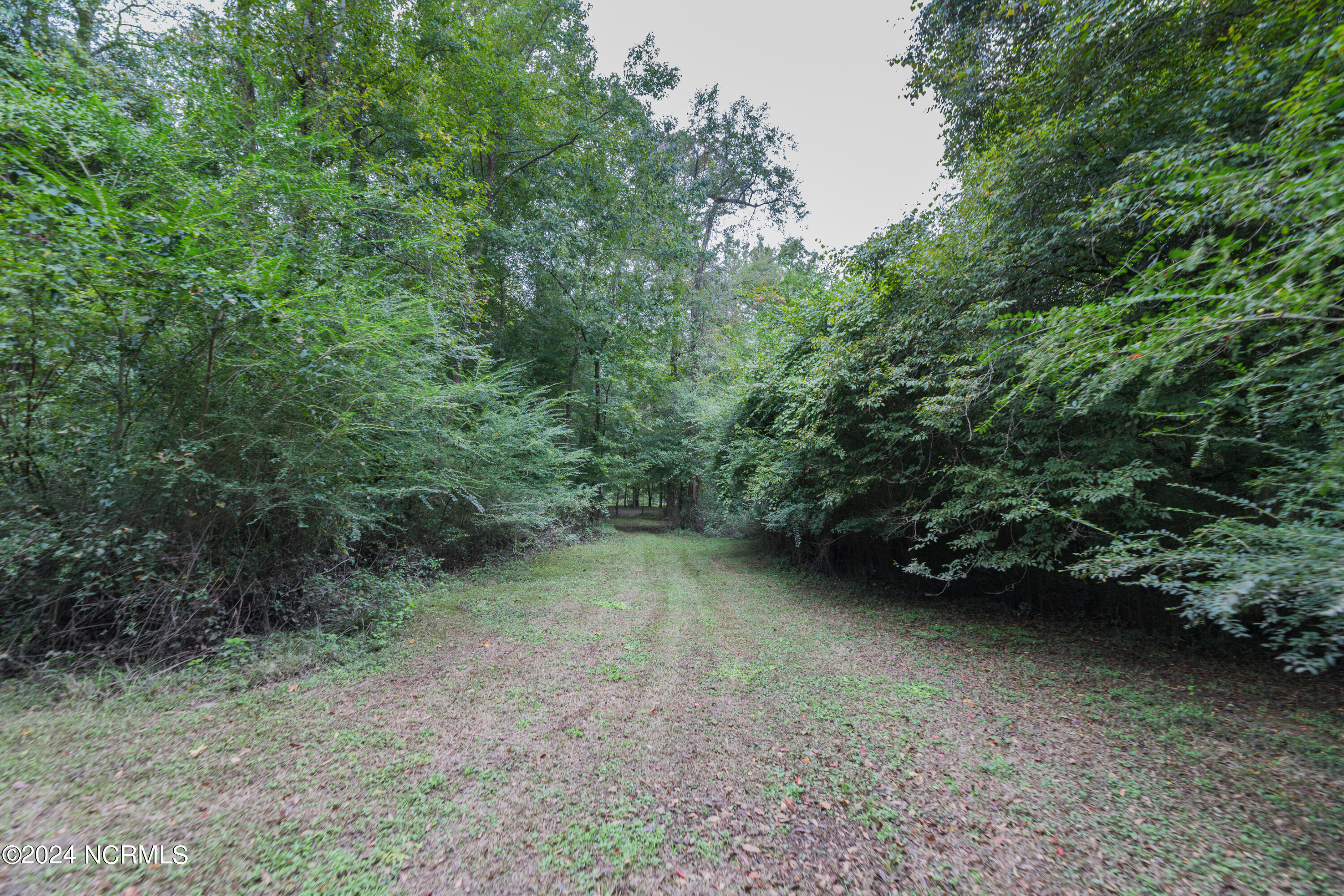 254 Jenkins Road Jacksonville, NC 28540 - Photo 2 of 38 _MG_5304-Enhanced-NR