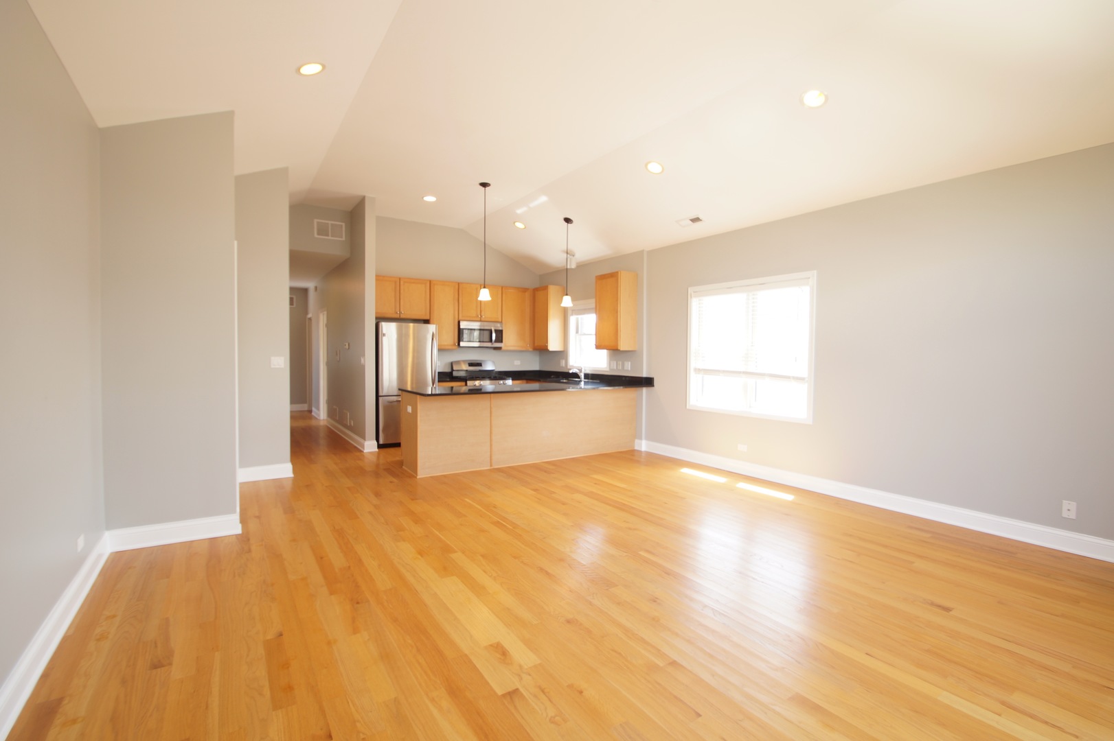 3213 South Wells Street, Unit 3 Chicago, IL 60616 - Photo 5 of 34