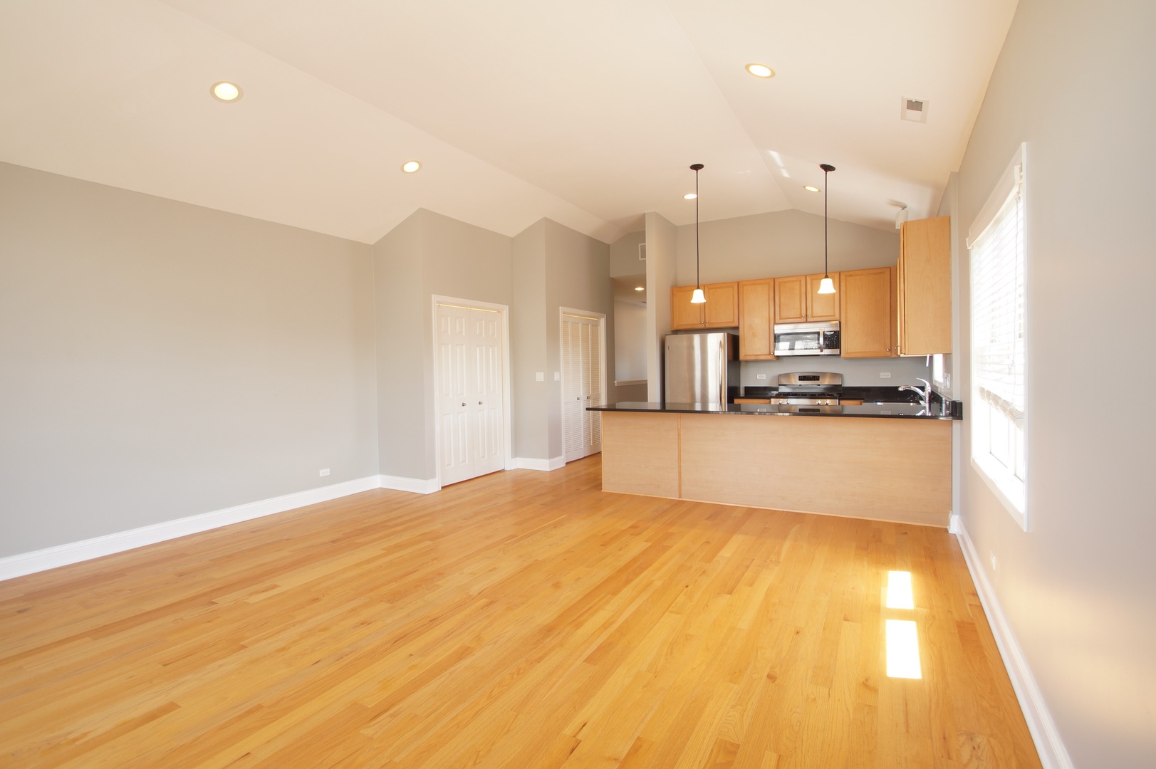 3213 South Wells Street, Unit 3 Chicago, IL 60616 - Photo 6 of 34