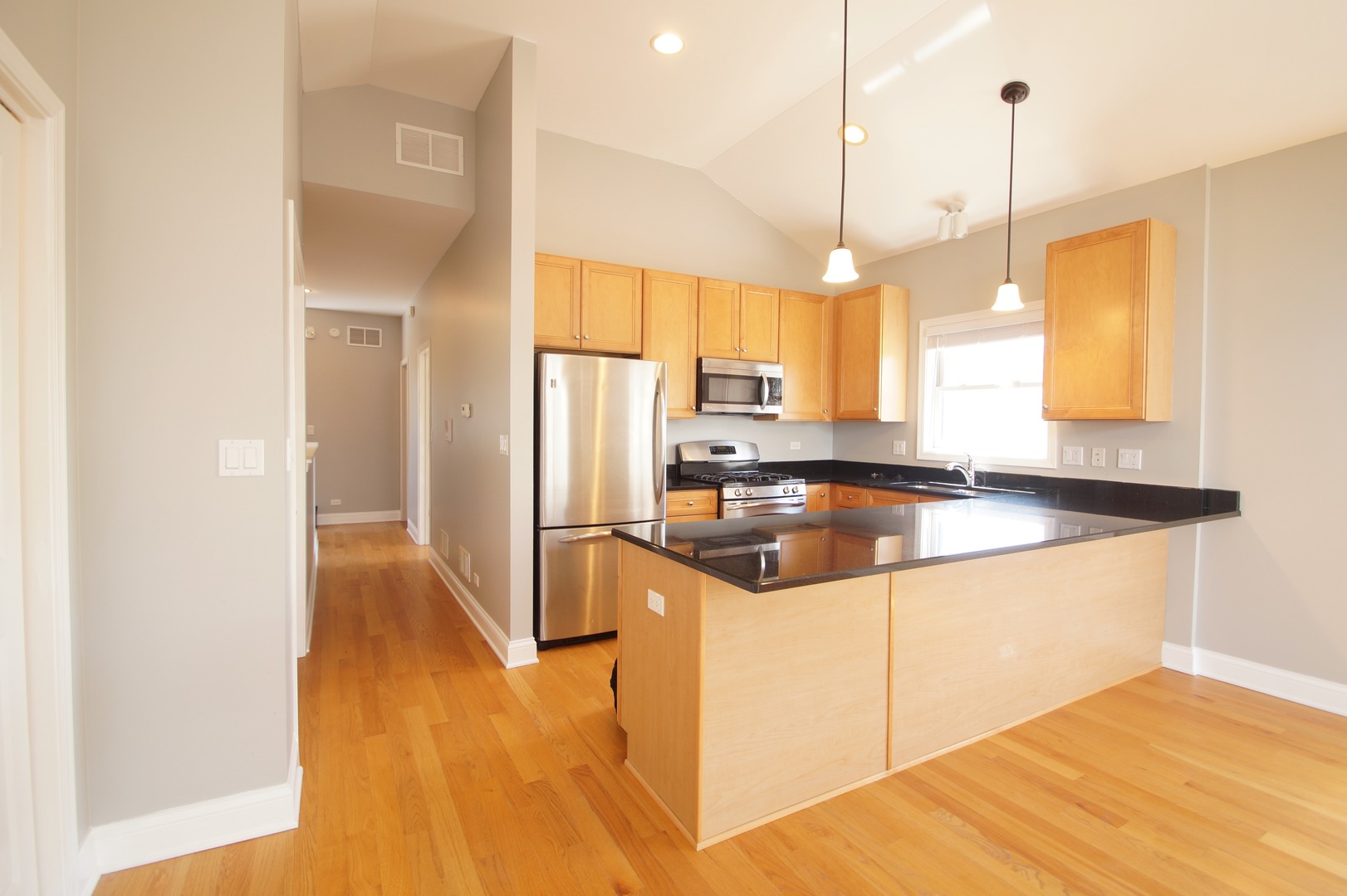 3213 South Wells Street, Unit 3 Chicago, IL 60616 - Photo 7 of 34