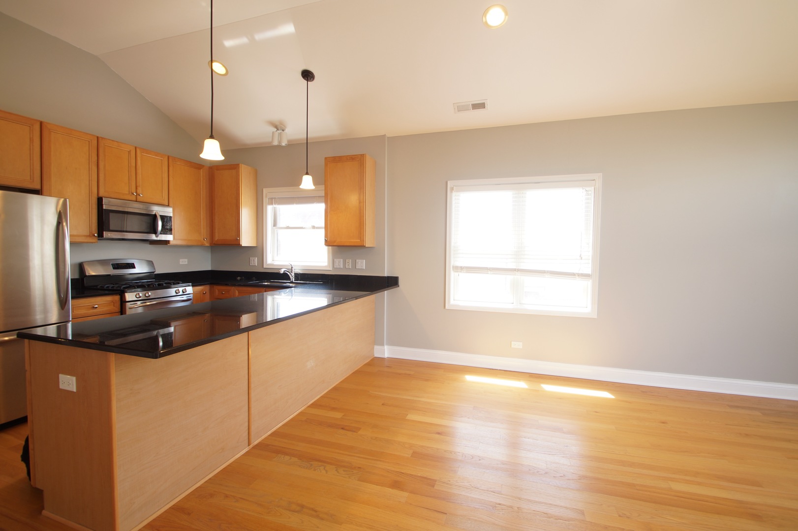 3213 South Wells Street, Unit 3 Chicago, IL 60616 - Photo 8 of 34