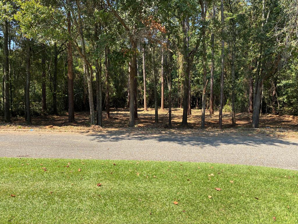 Lot 3 Hampton Way Dothan, AL 36305 - Photo 1 of 11