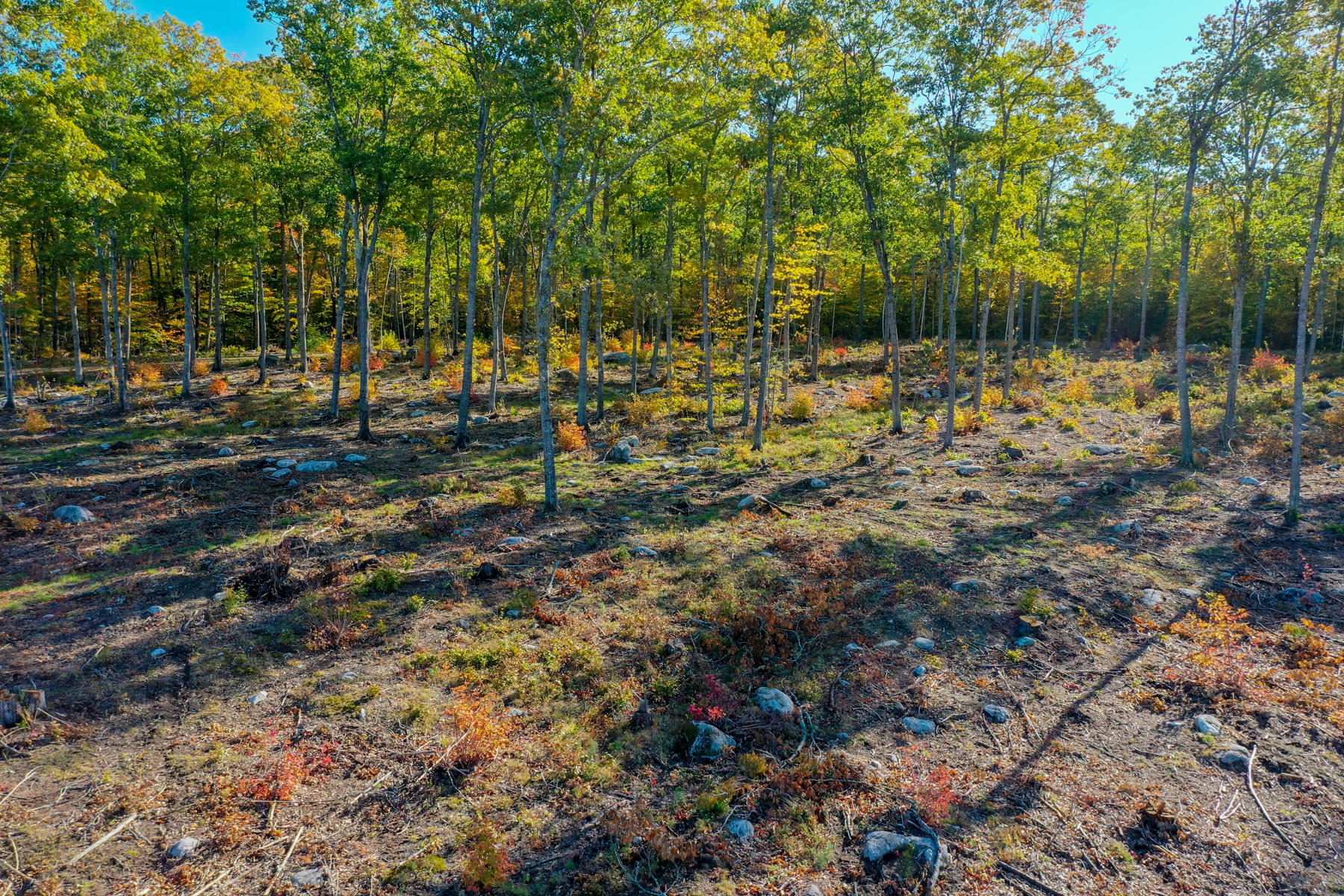 Lot 4 Birch Circle Harrison, ME 04040 - Photo 21 of 24 Pic#-13