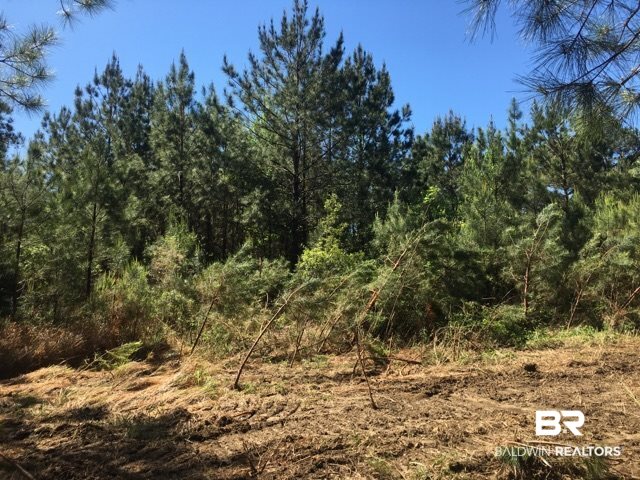 38540 County Road 39 Stapleton, AL 36578 - Photo 1 of 15