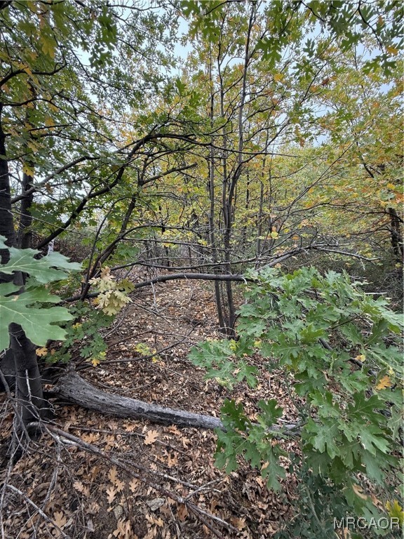 0 Lytle Creek Road Lytle Creek, CA 92358 - Photo 6 of 7 a backyard of a house with lots of plants and space