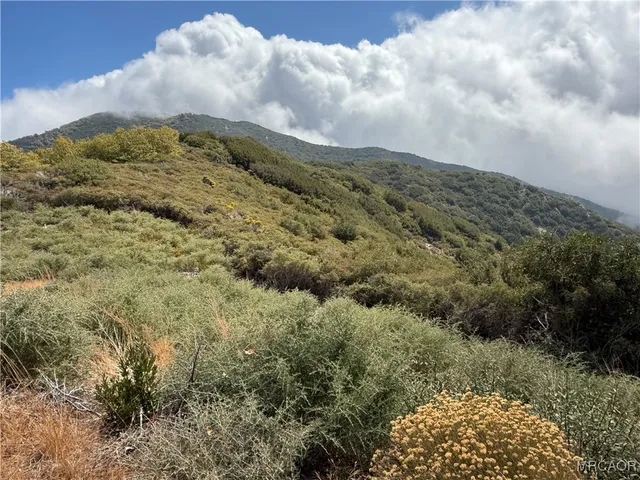 $50,500 | 0 Lytle Creek Road, Lytle Creek, CA 92358