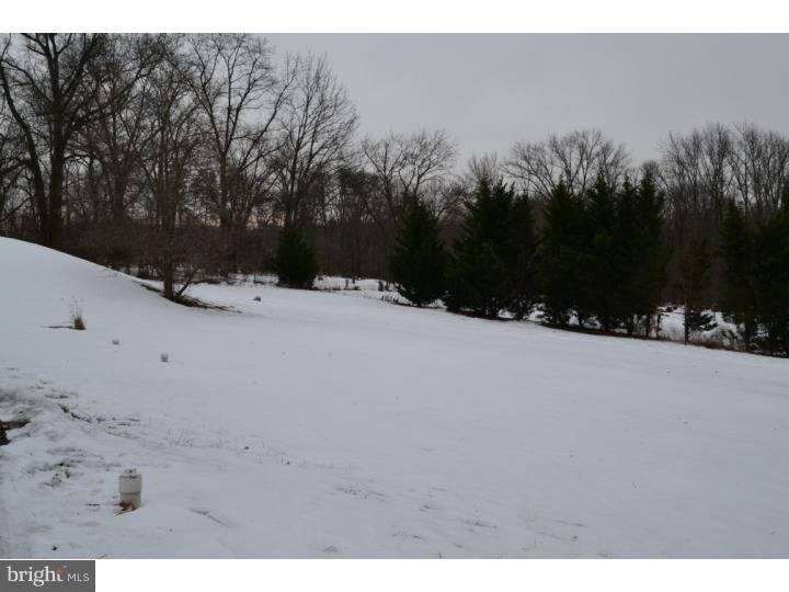 151 Rattlesnake Hill Road Boyertown, PA 19512 - Photo 7 of 7 View in Back