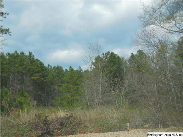 0 Rainbow Ridge Road, Unit 30 ACRES Anniston, AL 36207 - Photo 8 of 12