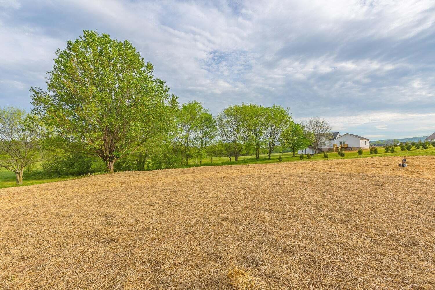 3503 Colbert Hollow Road Rock Spring, GA 30739 - Photo 8 of 68 20230626163448466832000000-o