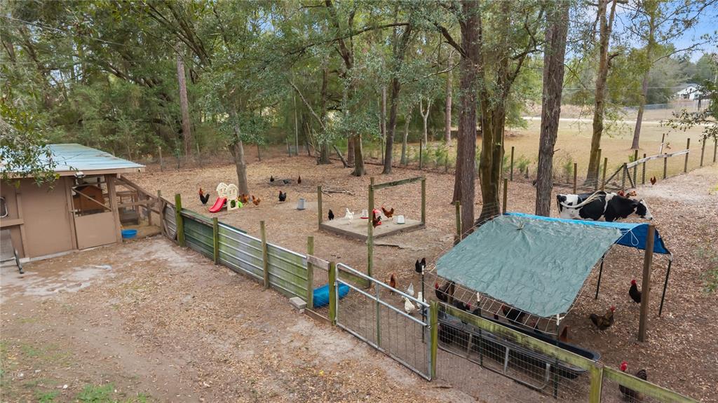 11235 Southwest 131 Terrace Dunnellon, FL 34432 - Photo 27 of 43