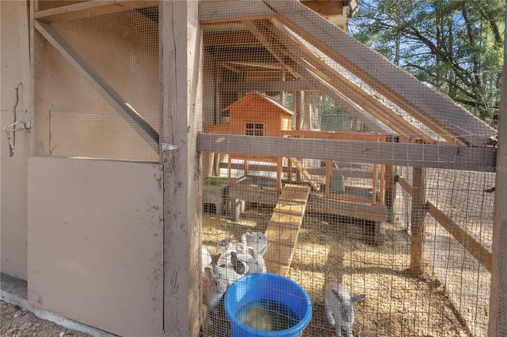 11235 Southwest 131 Terrace Dunnellon, FL 34432 - Photo 28 of 43