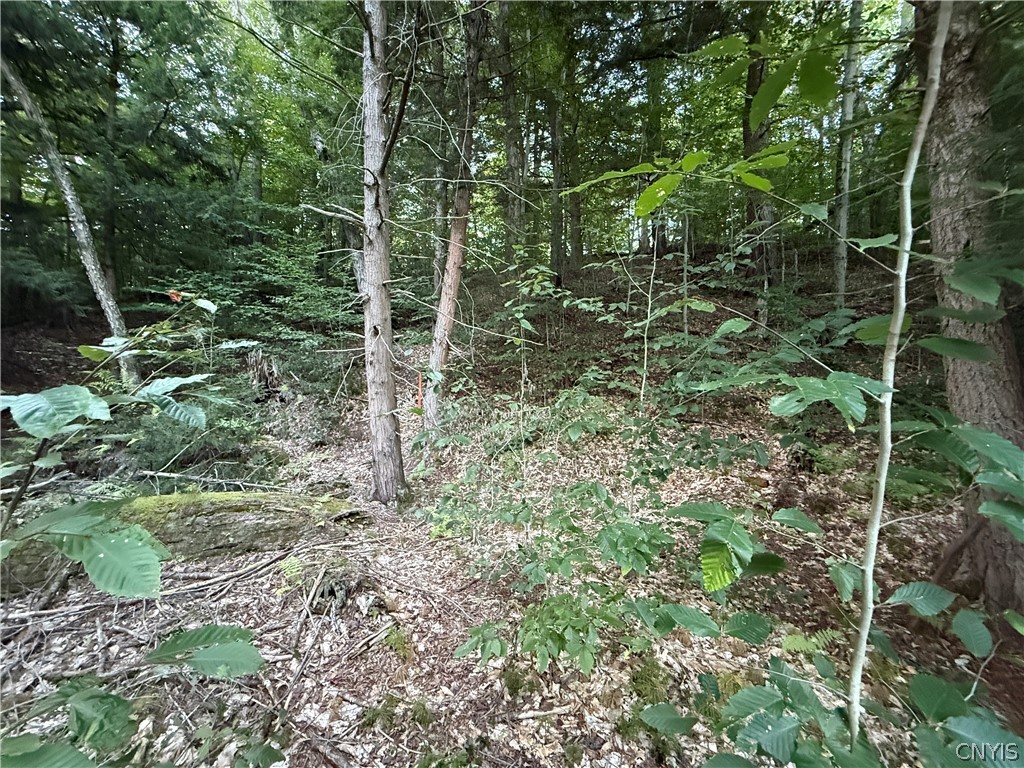 Lot #2 River Road Forestport, NY 13338 - Photo 4 of 18 Gallery Image 4