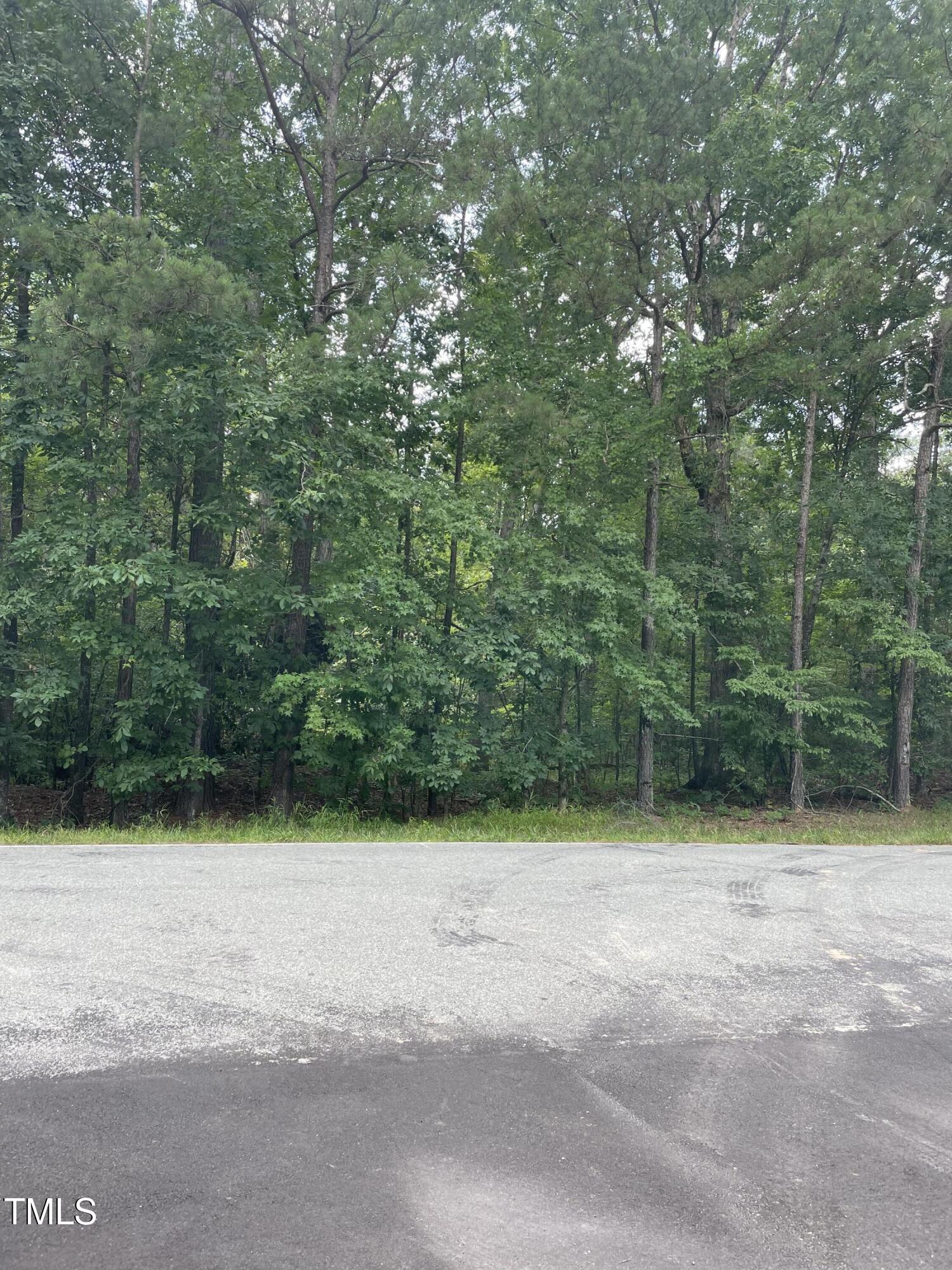 a view of a backyard with trees