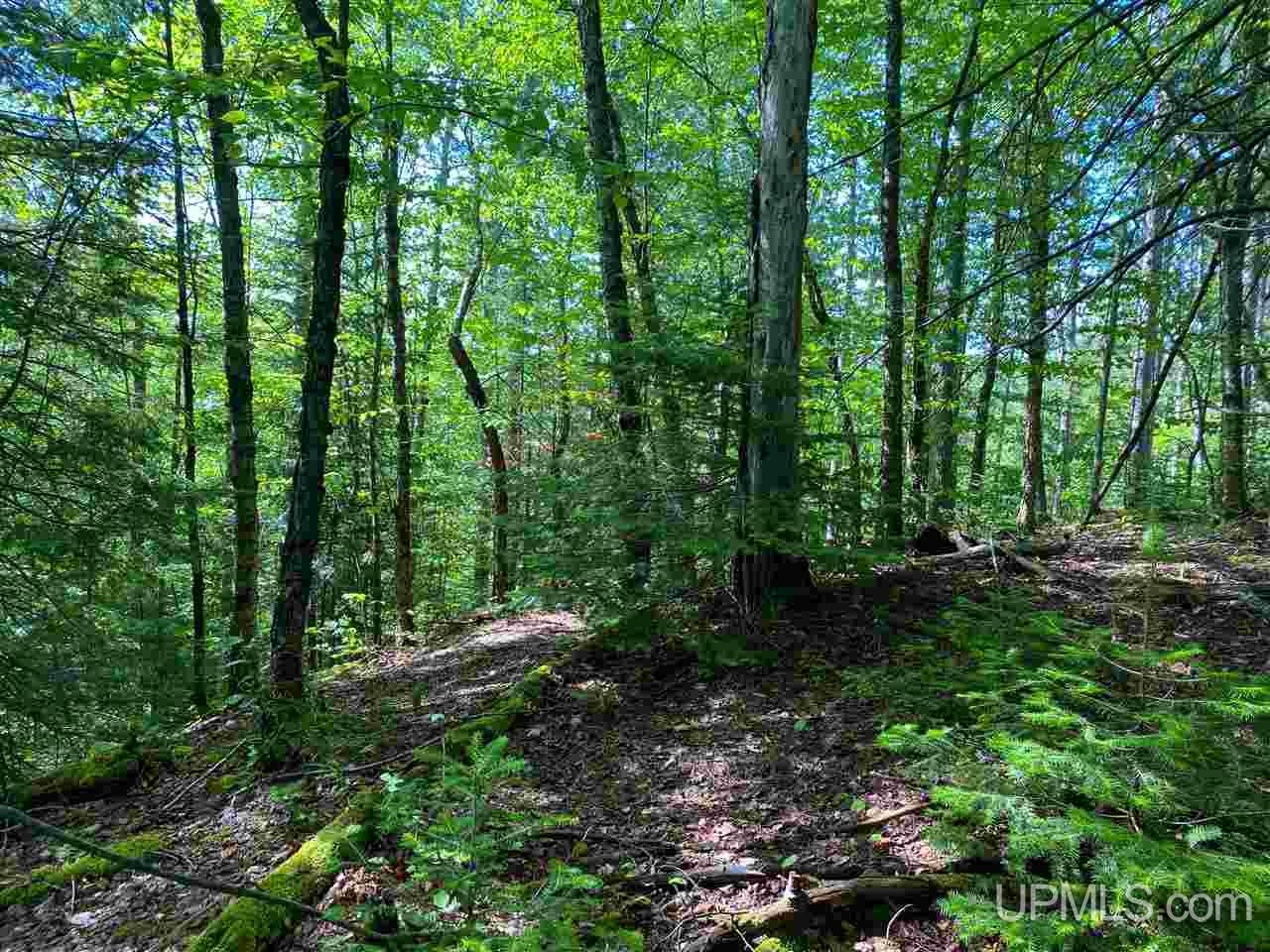 Tbd M-64 Ontonagon, MI 49953 - Photo 6 of 22