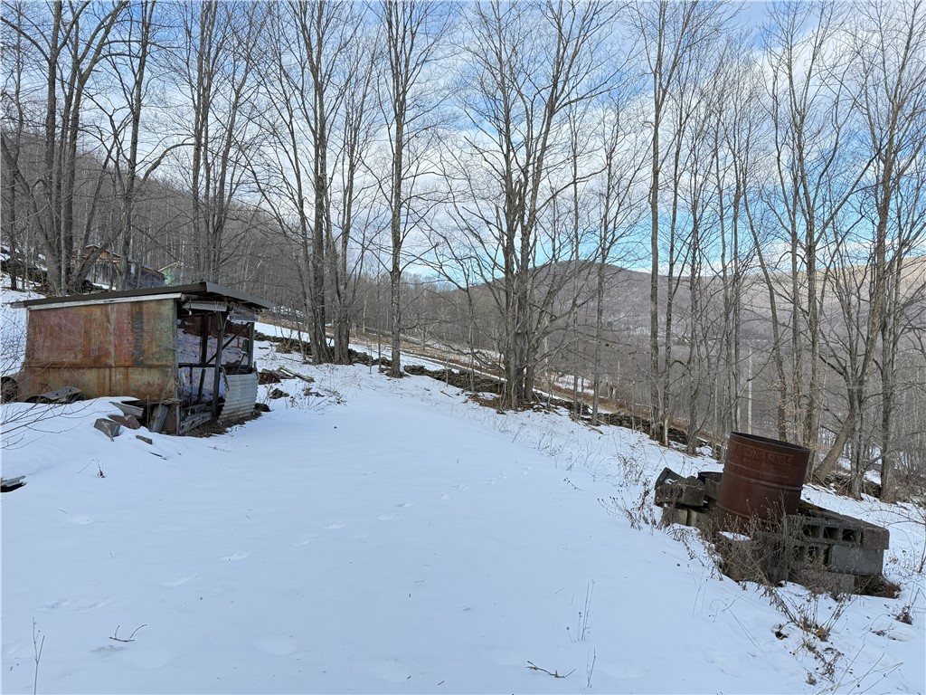 2165 Red Kill Road Fleischmanns, NY 12430 - Photo 47 of 48 mountain view