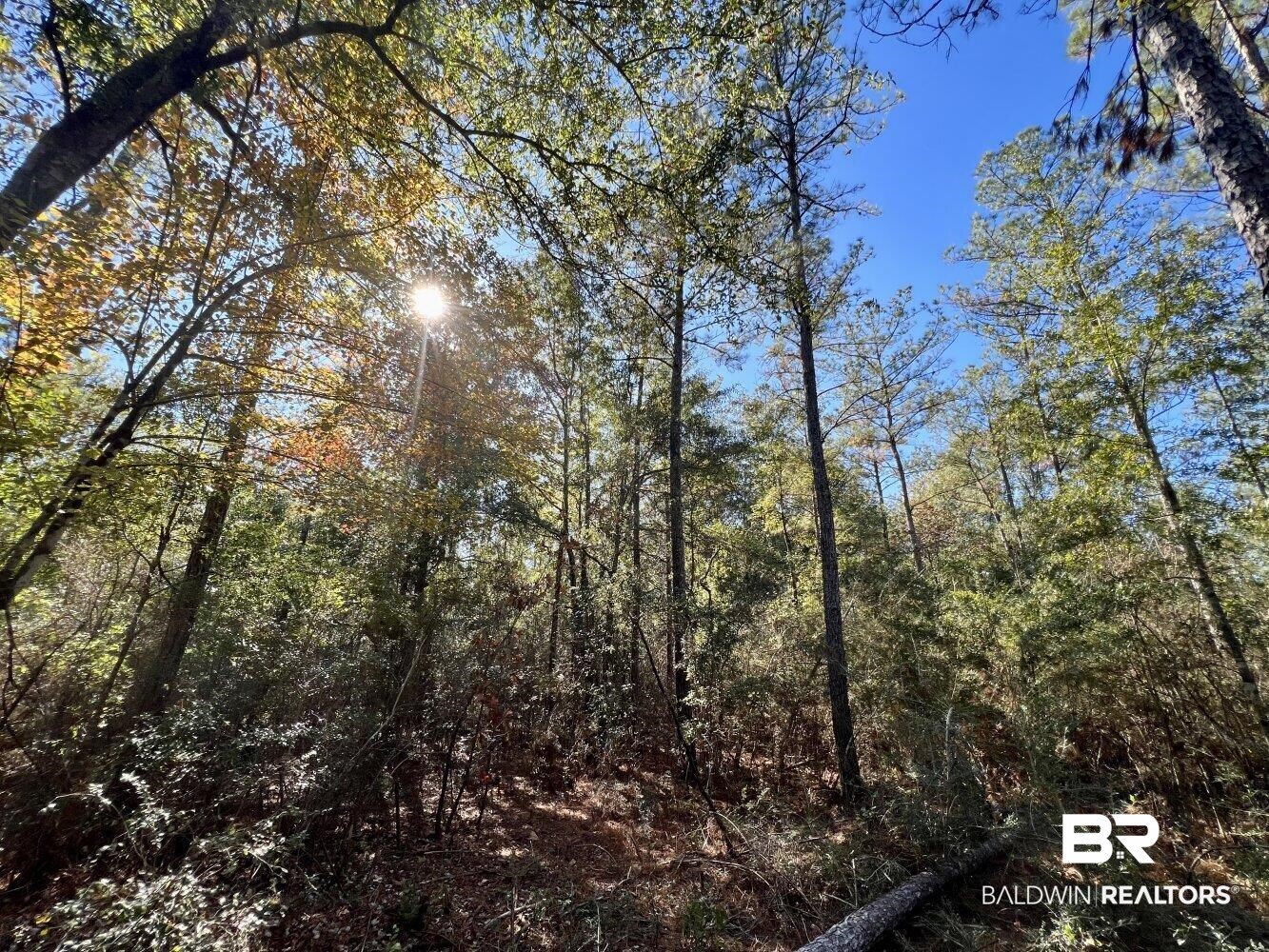 0 C C Road Chunchula, AL 36521 - Photo 17 of 27