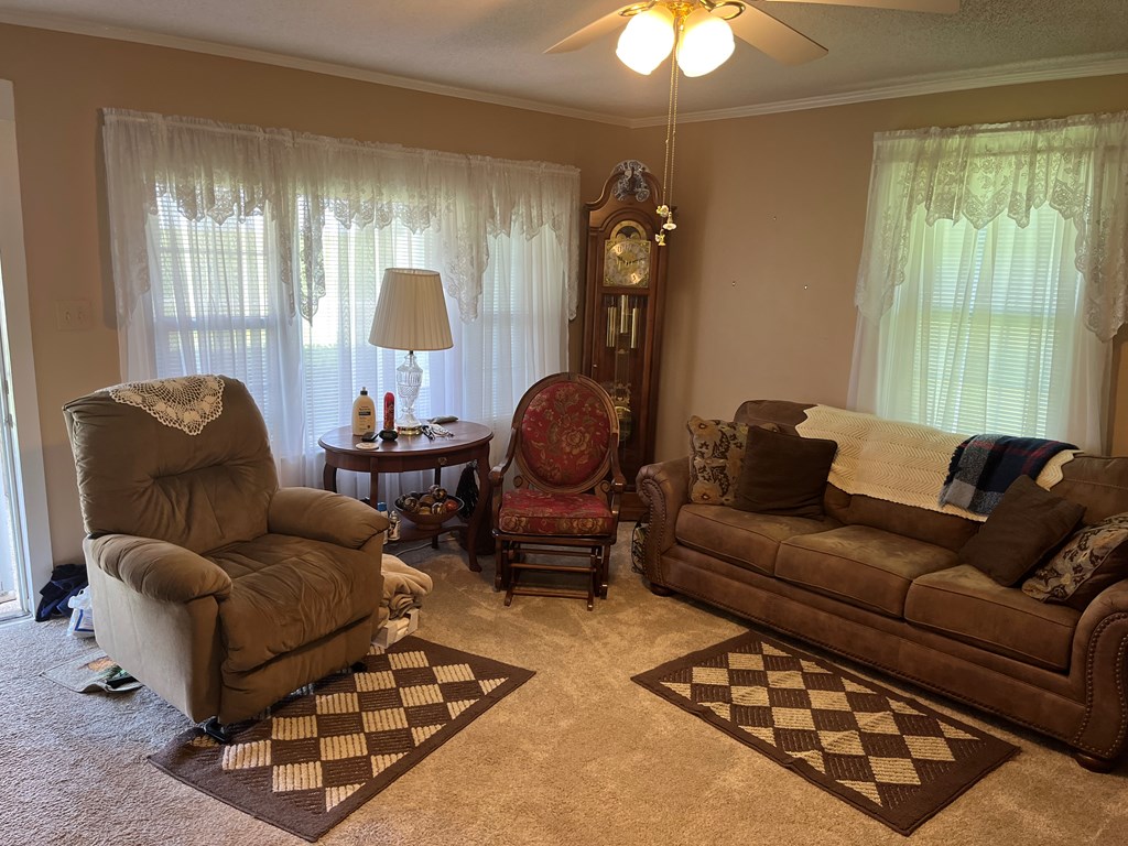 455 Hickory Grove Road Abbeville, AL 36310 - Photo 4 of 12