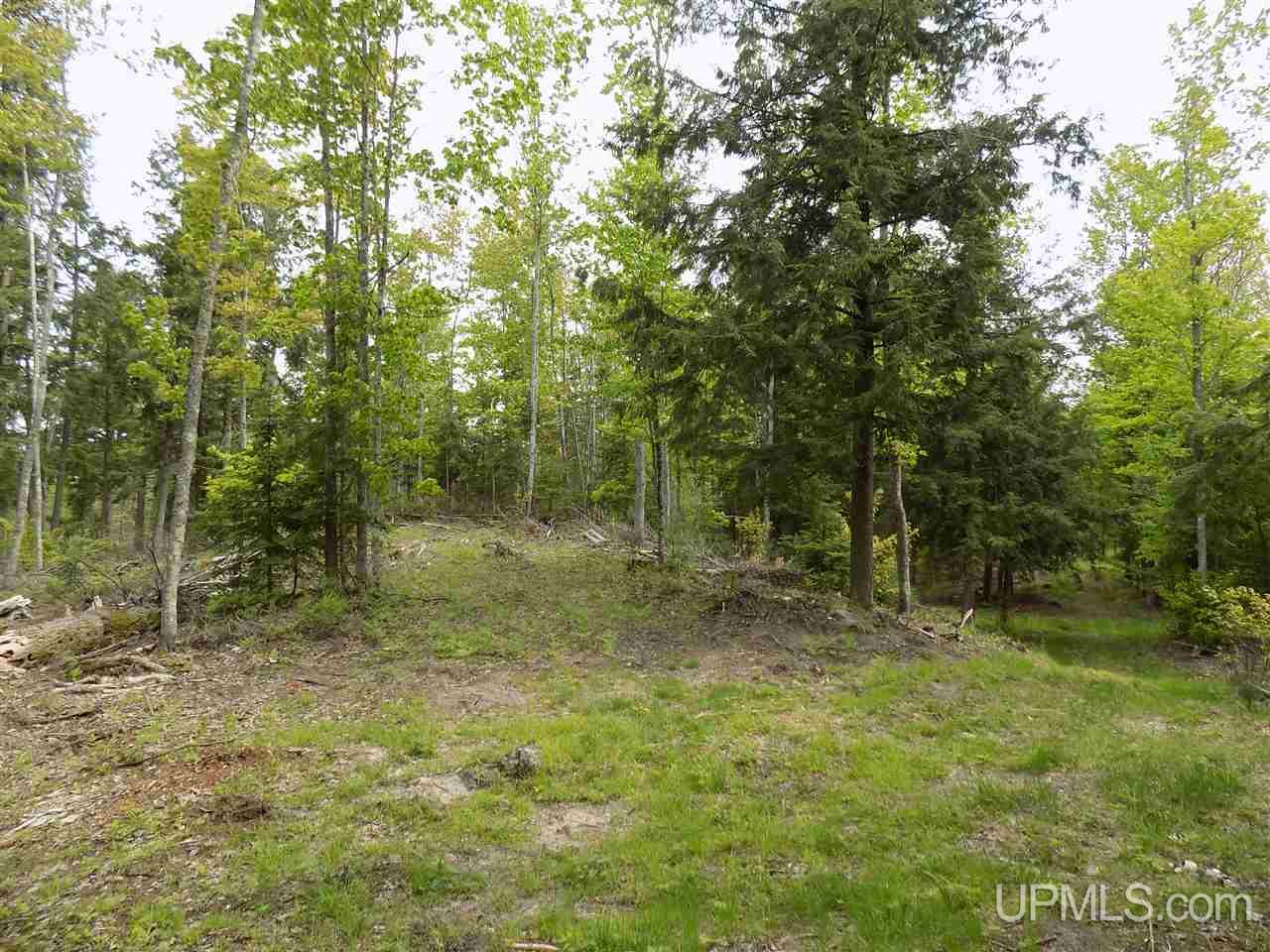 Tbd Slim's Road, Unit PARCEL B Manistique, MI 49854 - Photo 12 of 21