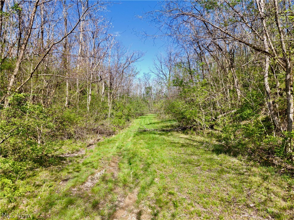0 Harrons Ridge Road Dexter City, OH 45727 - Photo 24 of 29