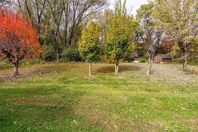 a view of yard with trees