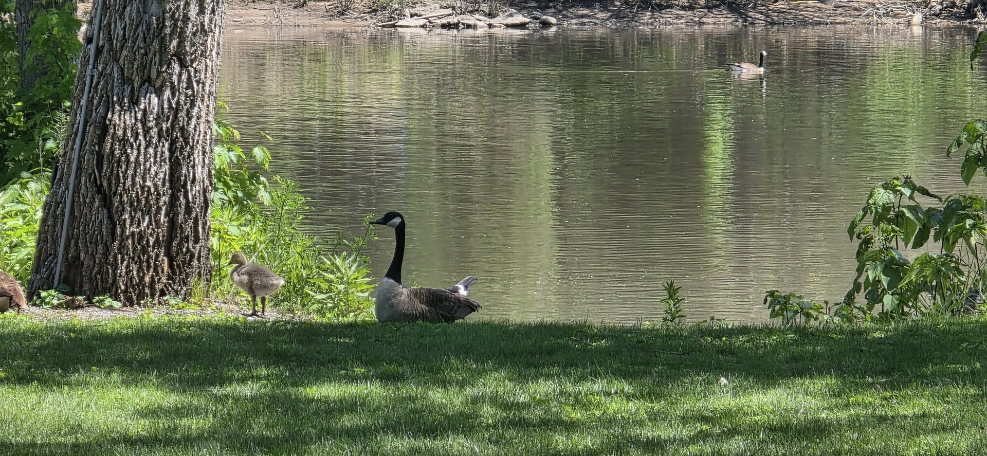 2857 River Road Kankakee, IL 60901 - Photo 3 of 35 a view of a lake view