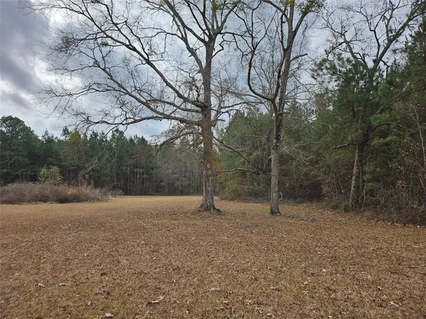 $249,000 | 22647 Kelly Drive, Cleveland, TX 77327