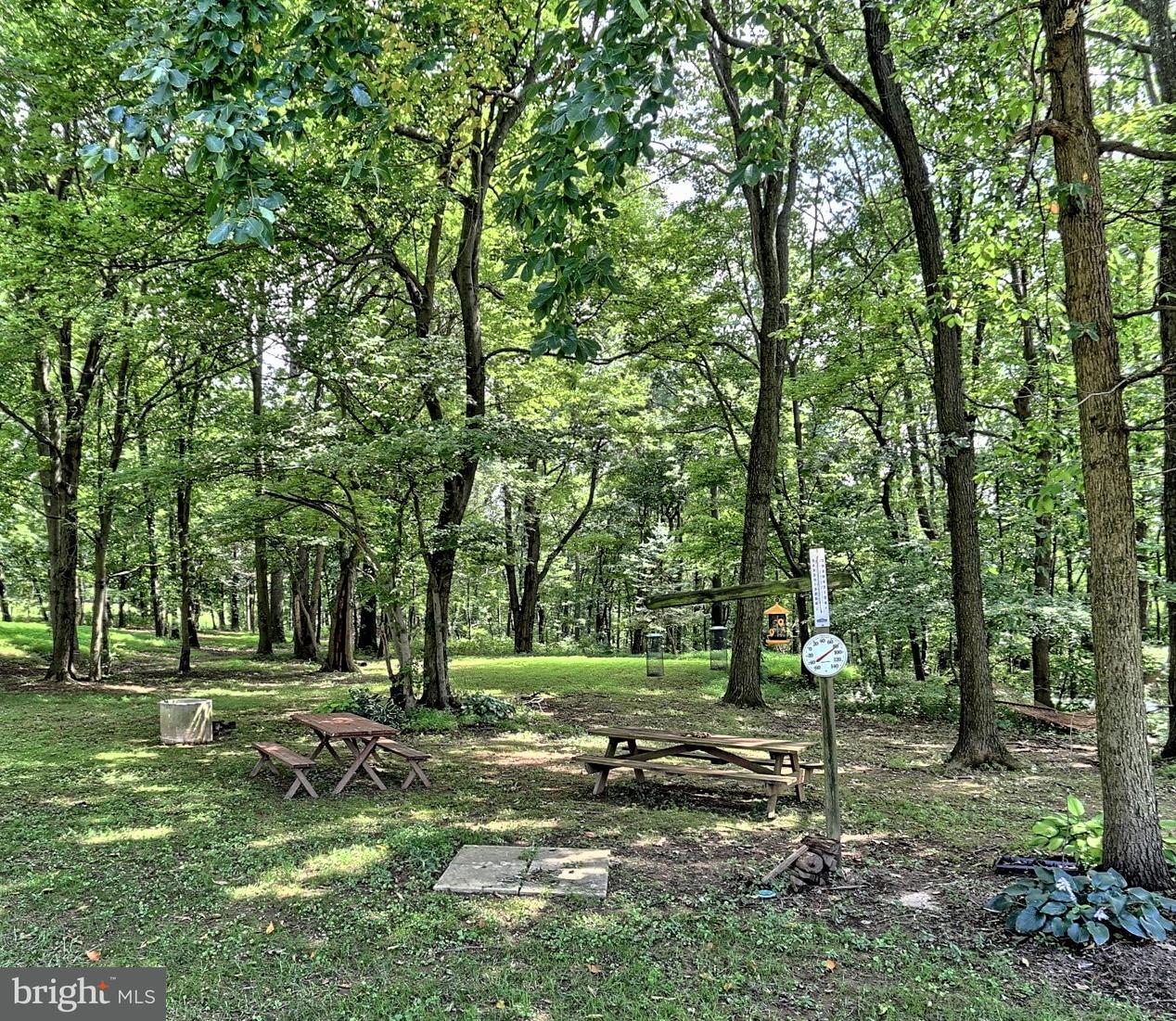 3044 Pine Tree Road Spring Grove, PA 17362 - Photo 10 of 40