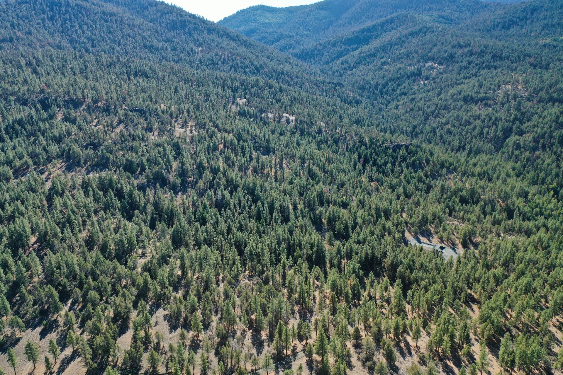 Nans Rock Rd Mount, Unit 3007 Mount Vernon, OR 97865 - Photo 6 of 16 DJI_0049