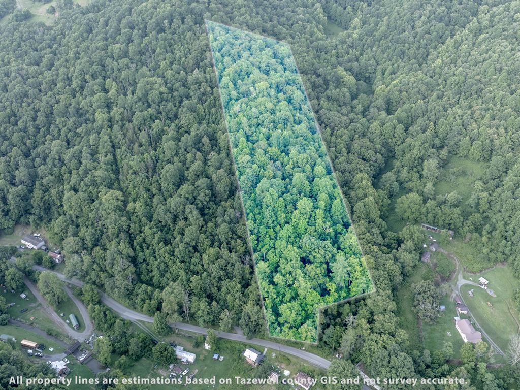 Tbd Dry Fork Road North Tazewell, VA 24630 - Photo 1 of 5 Gallery Image 1