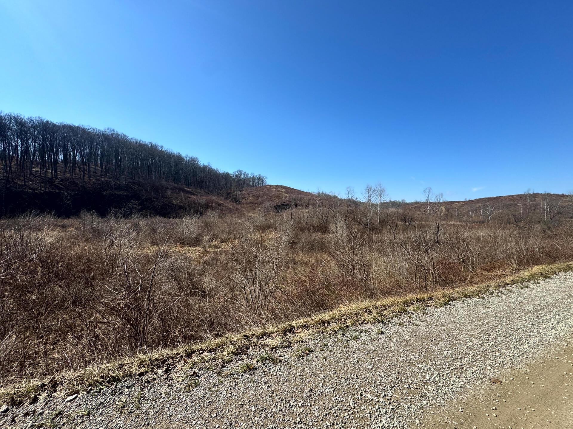 0 Sulphur Spring Road Southeast, Unit SULPHUR SPRINGS) Shawnee, OH 43782 - Photo 7 of 33 CT-7