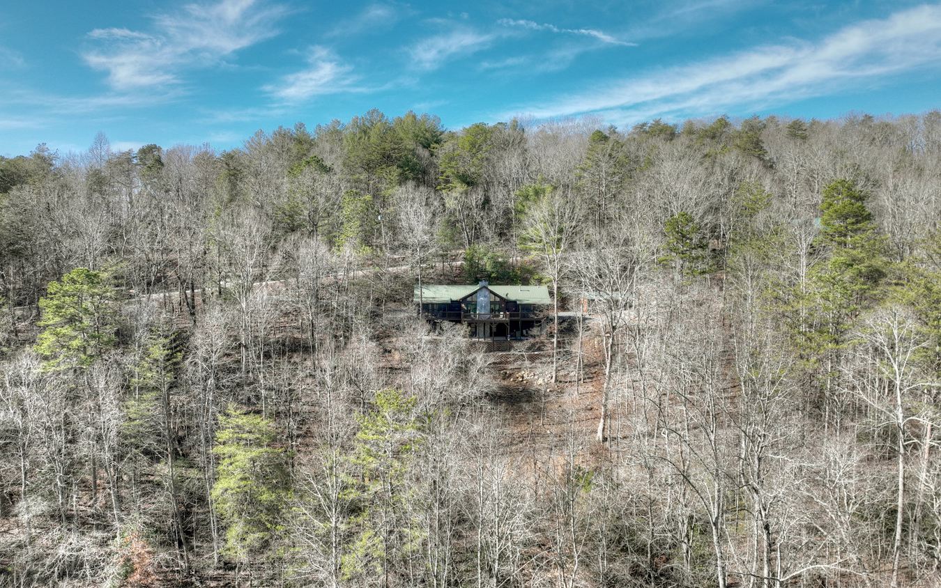 144 Squirrel Hunting Road Ellijay, GA 30536 - Photo 36 of 46 Additional View