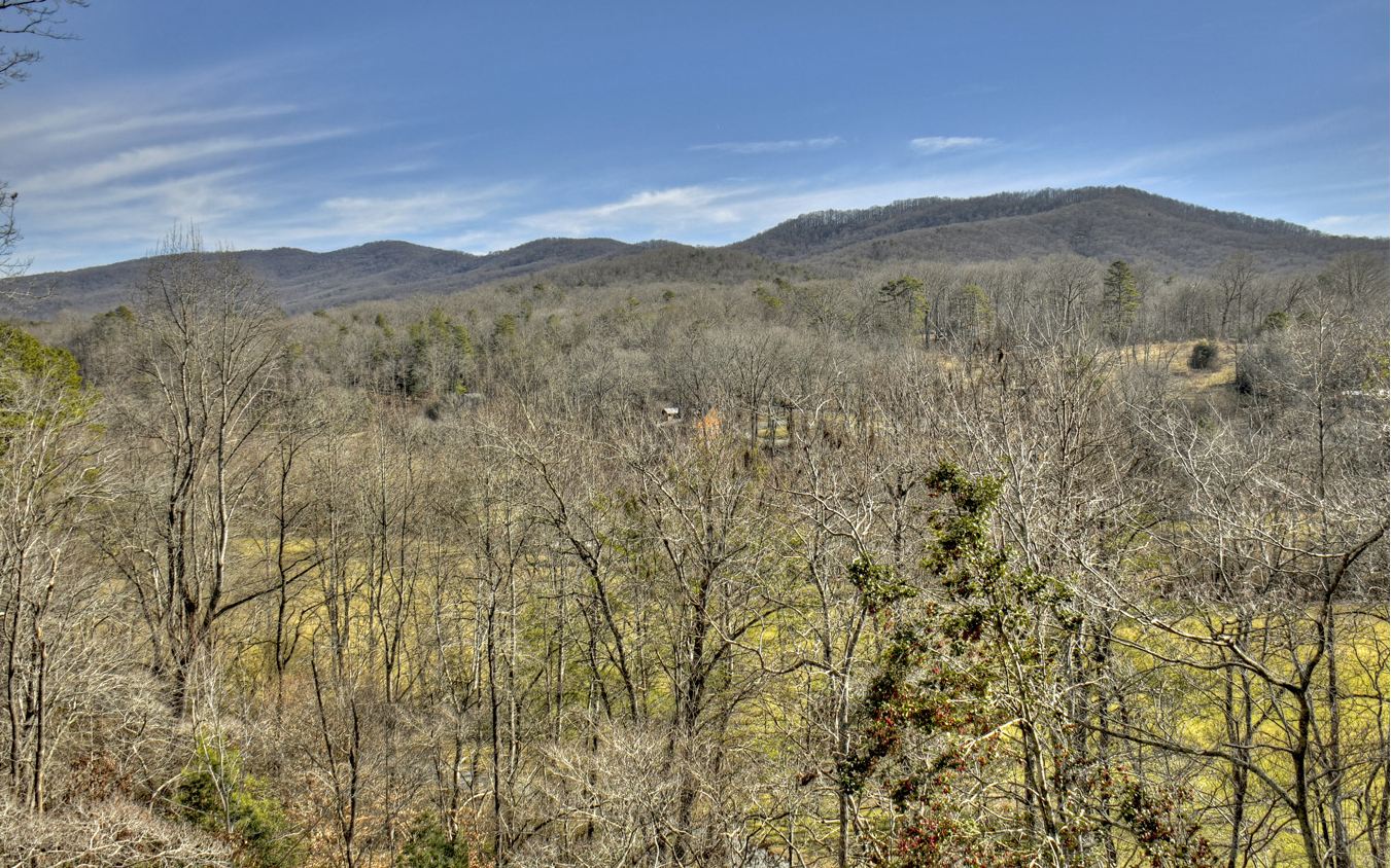 144 Squirrel Hunting Road Ellijay, GA 30536 - Photo 4 of 46 Additional View