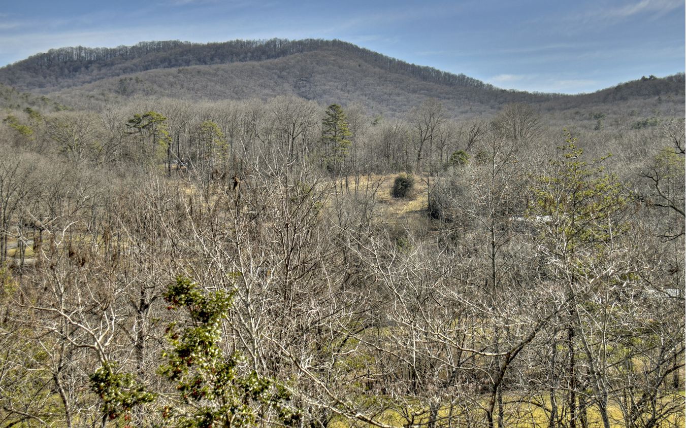 144 Squirrel Hunting Road Ellijay, GA 30536 - Photo 42 of 46 Additional View