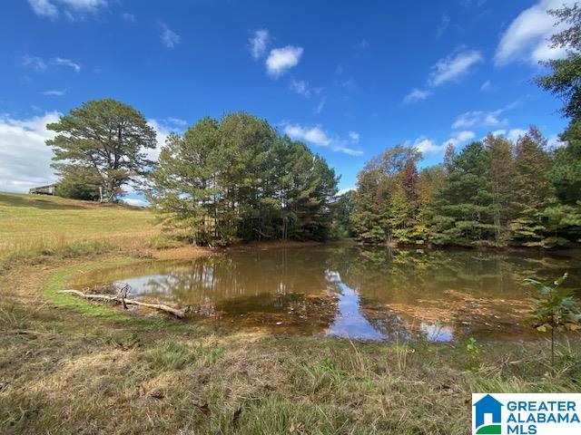 404 Kornegay Road Oneonta, AL 35121 - Photo 25 of 44