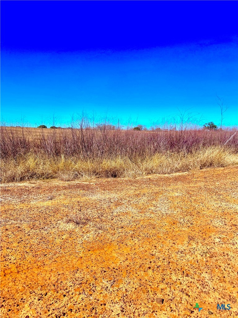 261 Engelke Road Kingsbury, TX 78638 - Photo 3 of 8