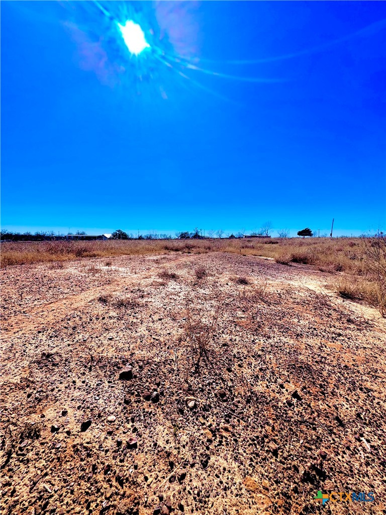 261 Engelke Road Kingsbury, TX 78638 - Photo 4 of 8