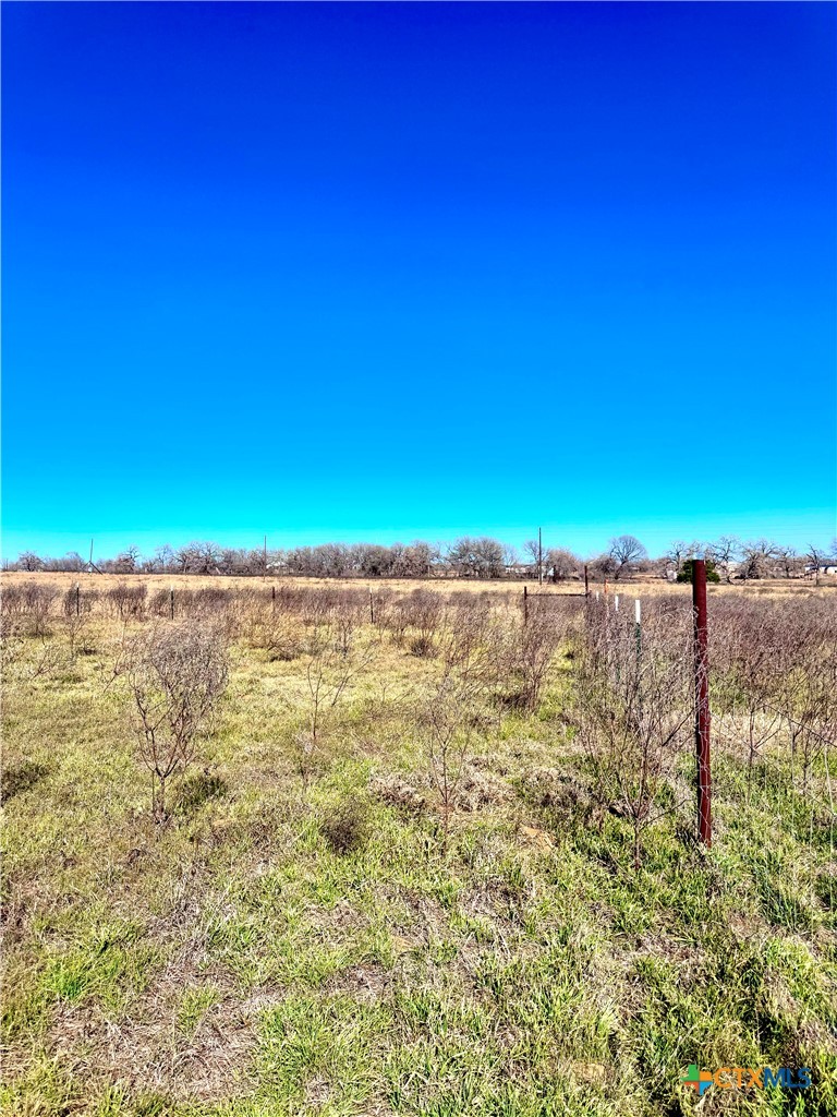 261 Engelke Road Kingsbury, TX 78638 - Photo 5 of 8
