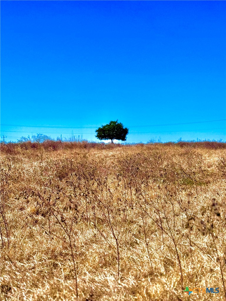 261 Engelke Road Kingsbury, TX 78638 - Photo 6 of 8
