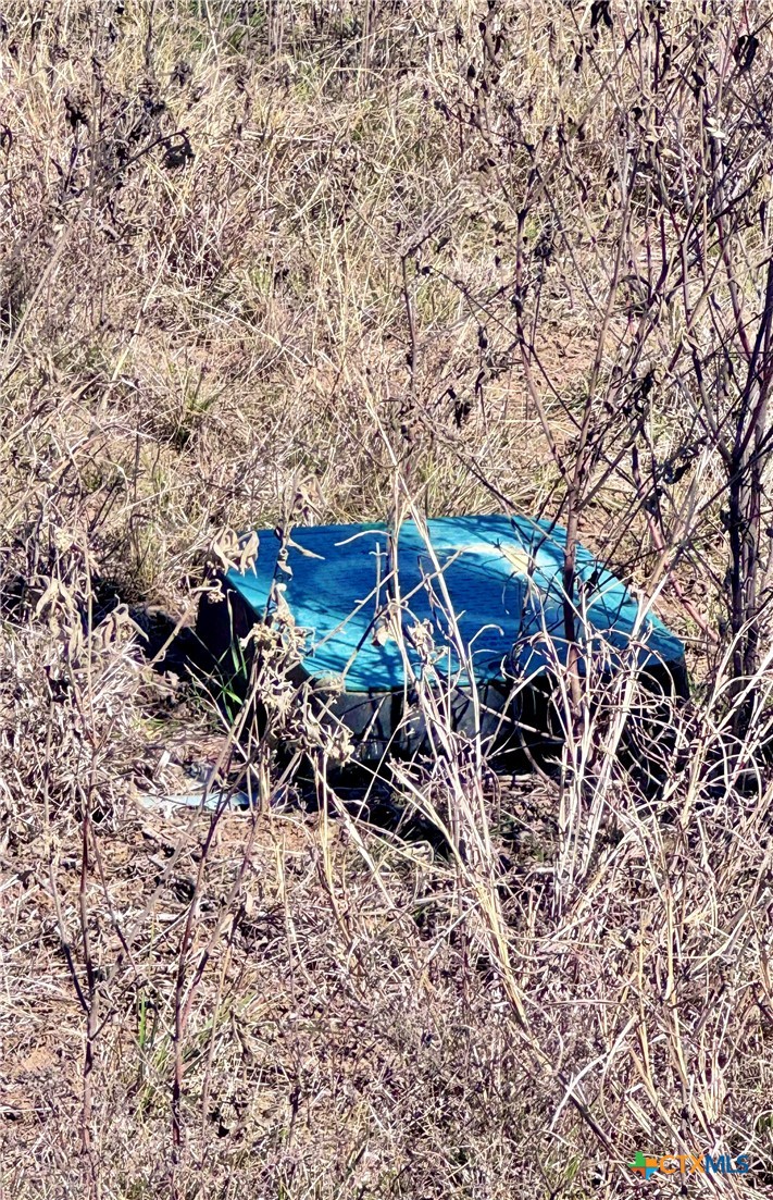 261 Engelke Road Kingsbury, TX 78638 - Photo 8 of 8