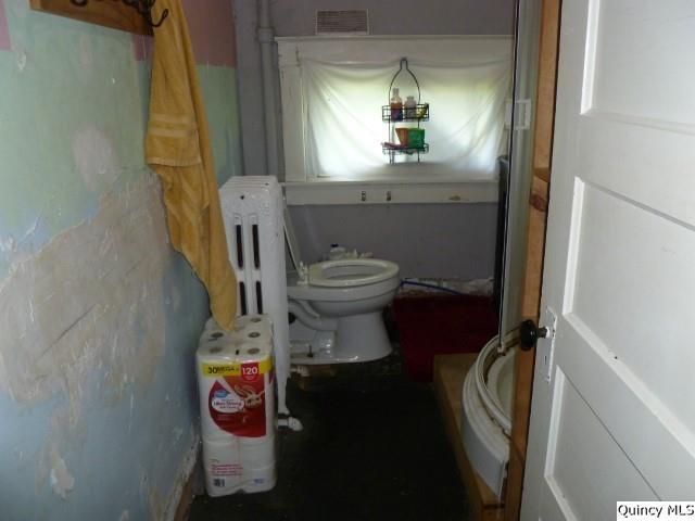 233 North 1st Street Carthage, IL 62321 - Photo 28 of 30 a bathroom with a toilet and a mirror