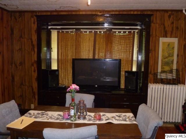 233 North 1st Street Carthage, IL 62321 - Photo 7 of 30 a living room with furniture and a flat screen tv