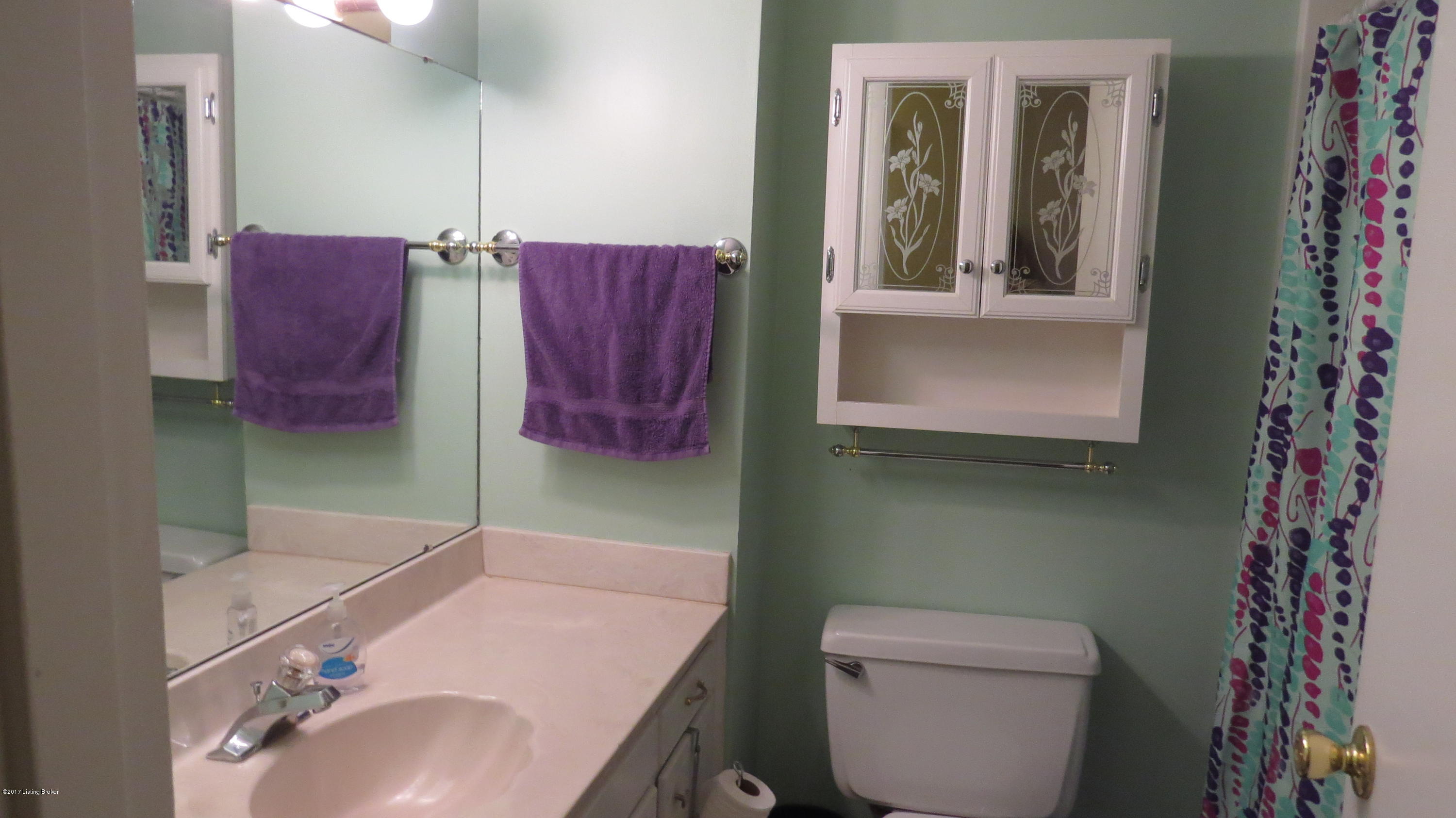 6809 Fernview Road Louisville, KY 40291 - Photo 27 of 29 Hall Bath