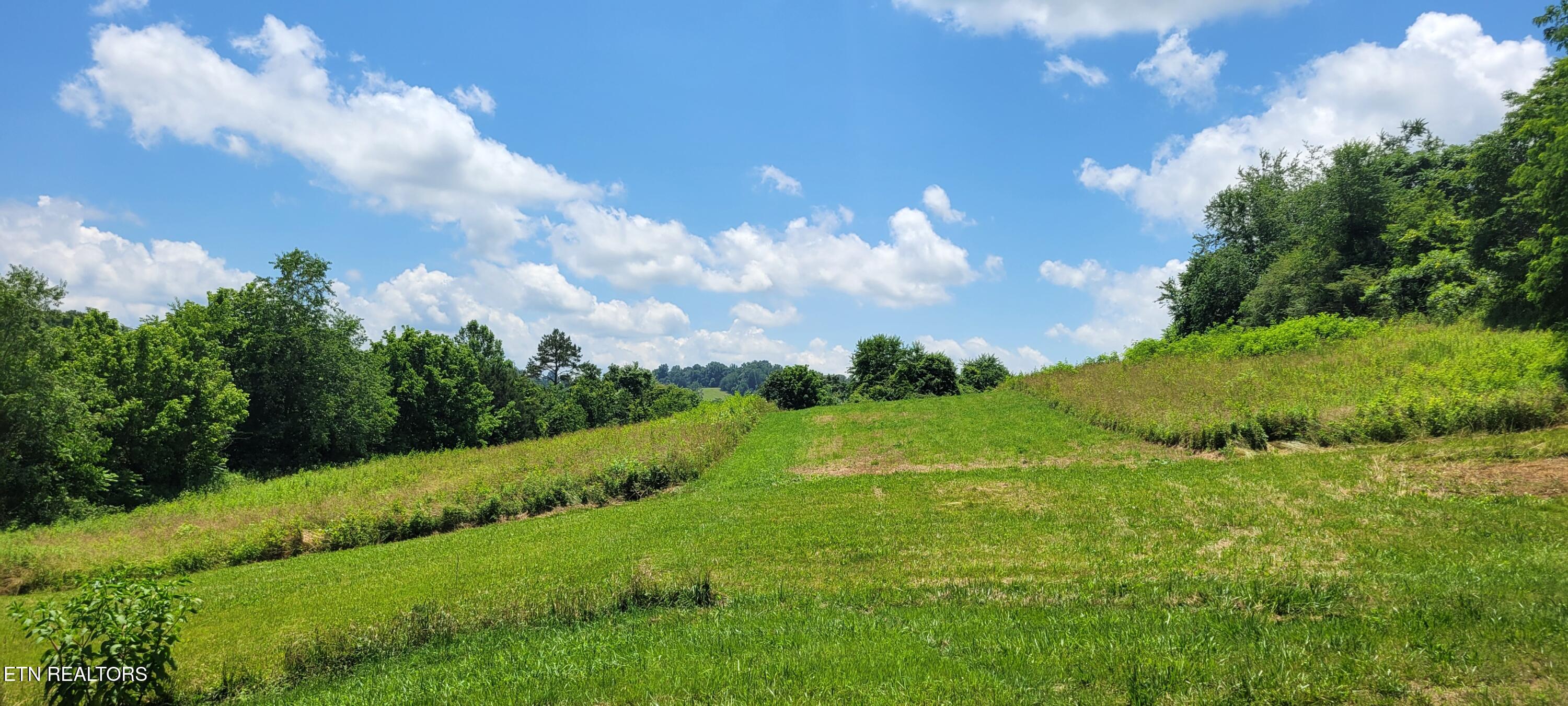 151 Rolen Road New Tazewell, TN 37825 - Photo 2 of 38 2