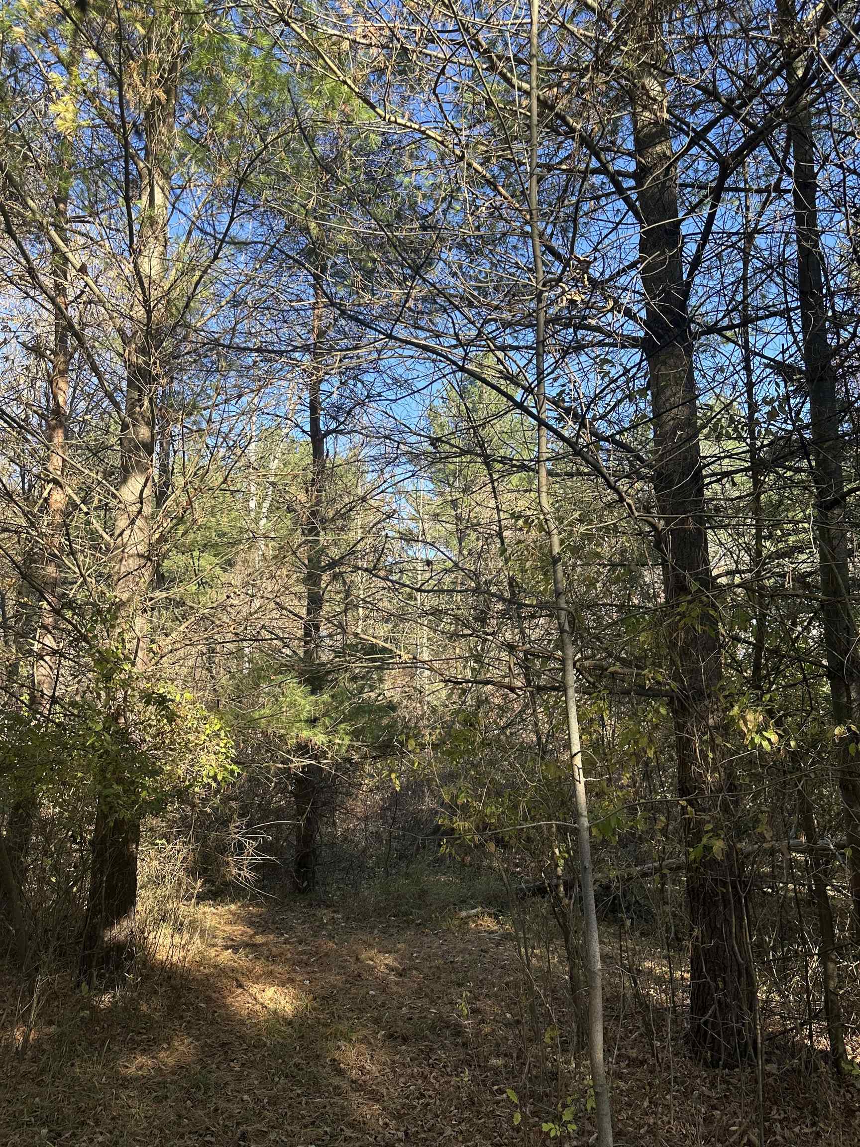 0 Drier Road Standish, MI 48658 - Photo 13 of 34