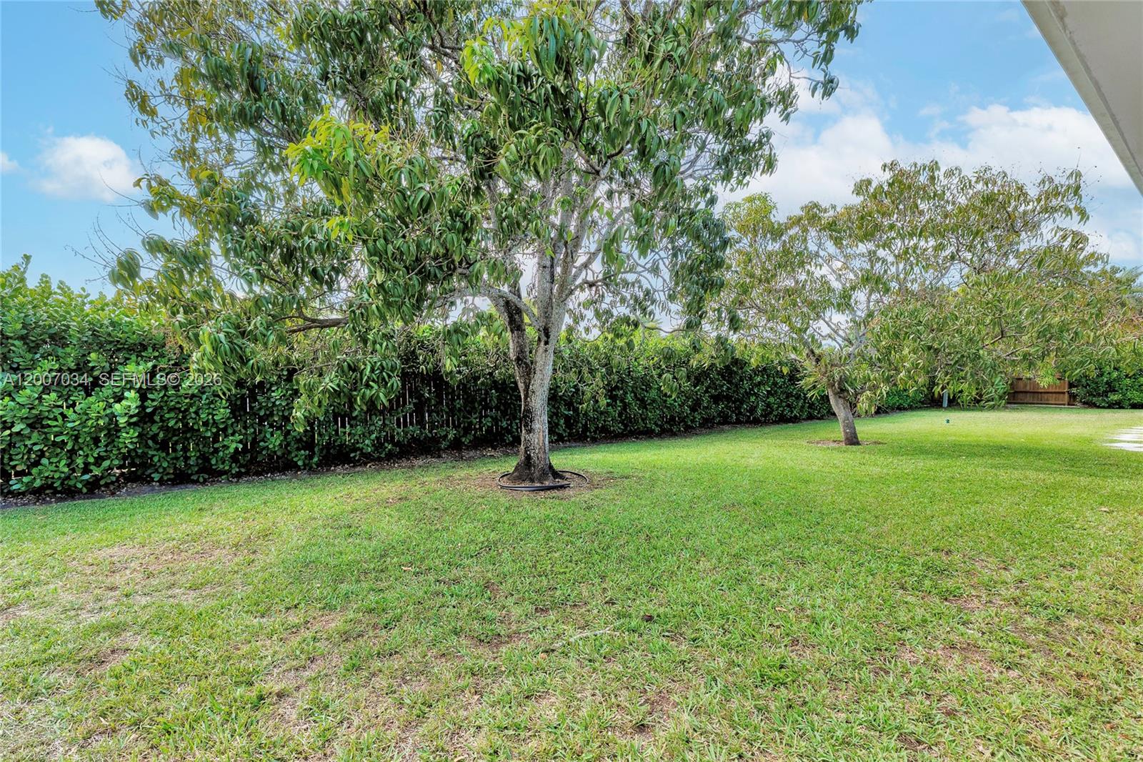 13540 Southwest 98th Court Miami, FL 33176 - Photo 30 of 43 a view of a field with a tree