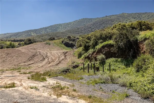 a view of a dry yard